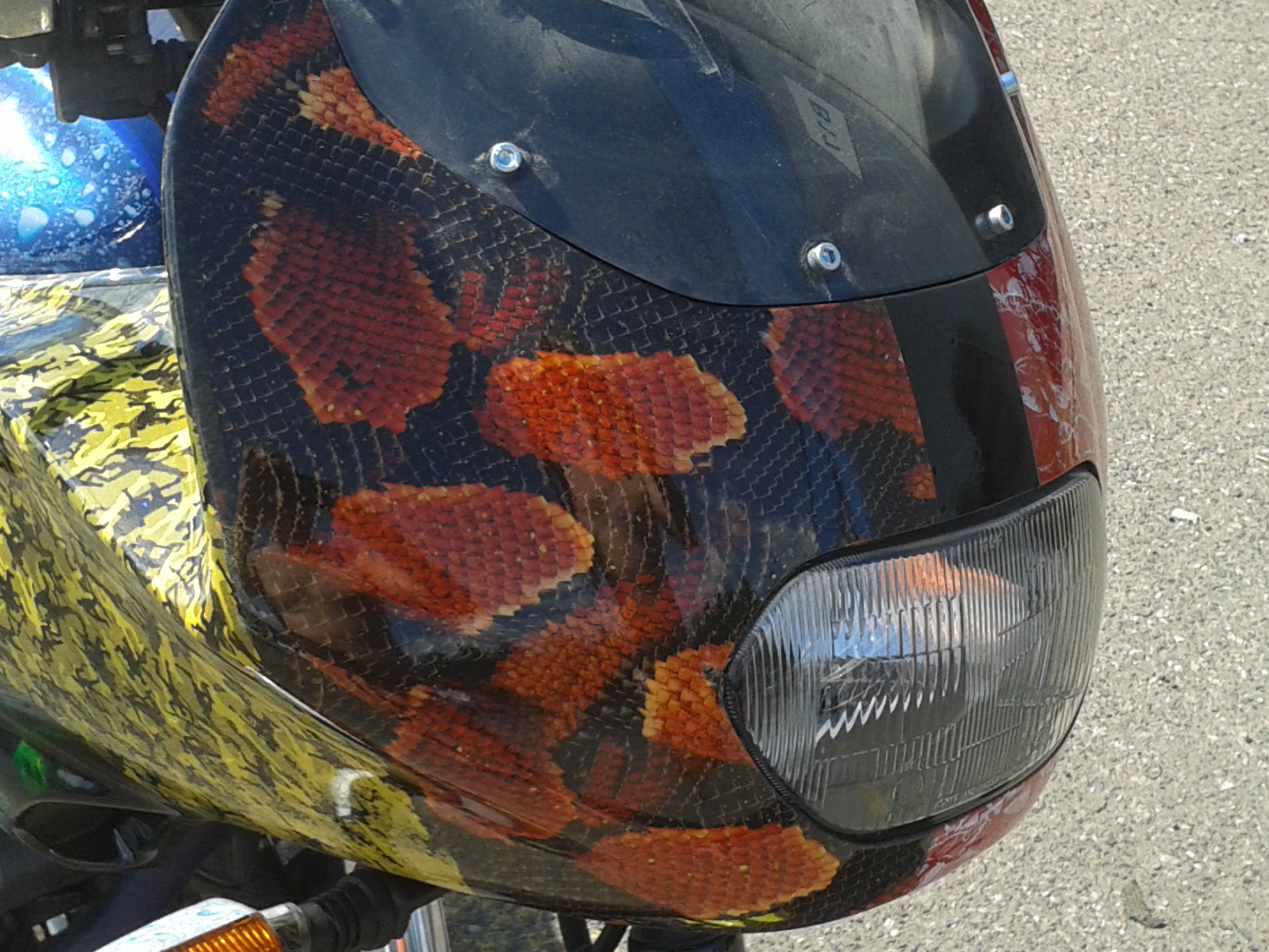 předek motorky